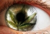 Green-Heart