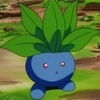 Mystherbe