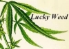 Lucky Weed
