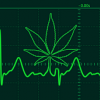 ShivaWeedSkunk