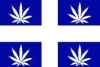 420narchist