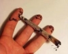 SudWeedste