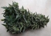 Cannakak