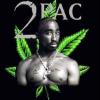 BoB_-_Marley