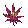 SmokerExpress