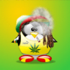 zibzib