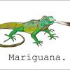 IguaneLand