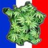 canna ak47