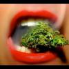 Ganja Man2