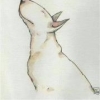 bullmania27