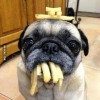 bao_bab