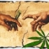 BioJex