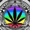 Bzhflower