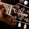 Takamine