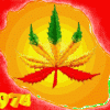 boby974