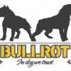 bullrotwear313