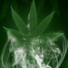GreenTechno