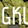 bobs#ogkush