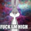 Buds Bunny