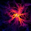 Complexation