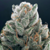 Cannaweetabix