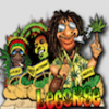 blackweeds