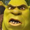 Mr.shrek