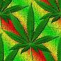 loveMysticgrow