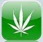 CannaWhitee