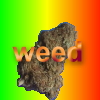 b2o44