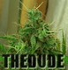 TheDude