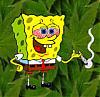 playtheweed