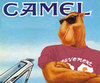 camelchoice