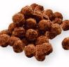 chocopops